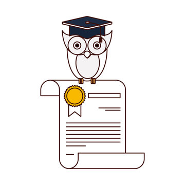recommend clip art: silhouette color sections of owl knowledge in certificate vector illustration