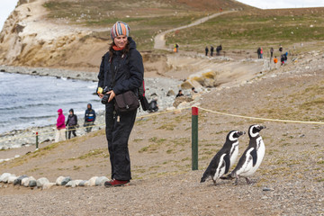Spotkanie z Pingwinem, Isla Magdalena, Chile - obrazy, fototapety, plakaty