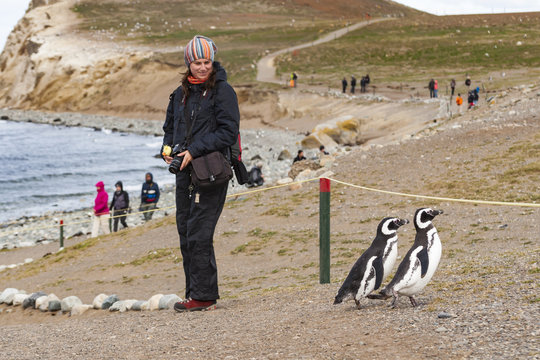 Spotkanie z Pingwinem, Isla Magdalena, Chile