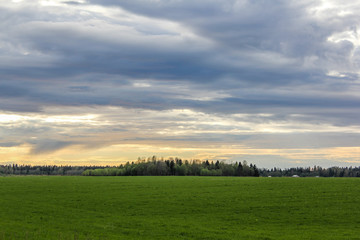 Весенний пейзаж