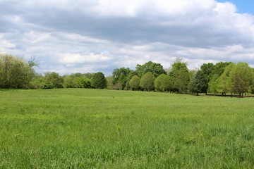 The green grass landscape in the park with the clouds in the sky. 
