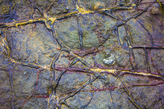 Geological Lines in Beach Stone
