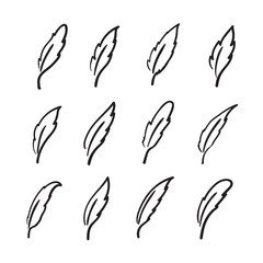 Vector group of hand drawn feather on white background.
