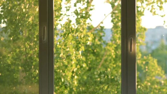 Closed white window overlooking green garden