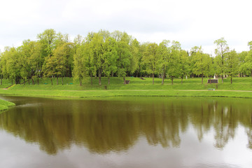 Cultural trees planted in the Gatchina Park are reflected in the lake.