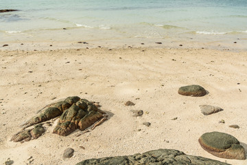 Beach and Sea