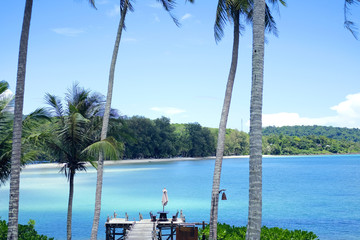 Coconut tree and beautiful sea water koh kood