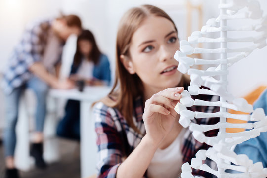 Smart attentive lady carefully examining every piece of the model