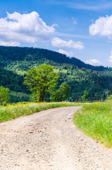 Fototapeta premium Background of Carpathian mountains landscape in Ukraine
