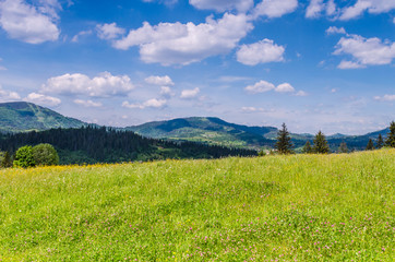 Background of Carpathian mountains landscape in Ukraine