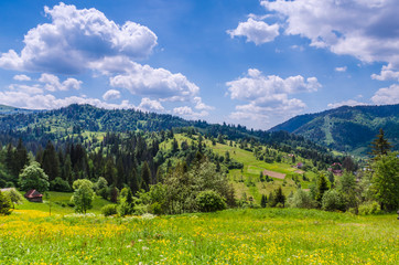 Naklejka na ściany i meble Background of Carpathian mountains landscape in Ukraine