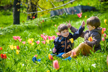 Two brothers sitting in a field of tulips.