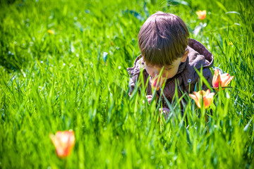 Obraz premium Cute Boy between of the purple tulips field