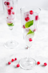 mint and red berries in ice cubes in glasses white background