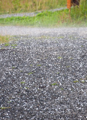 Hail downfall. Hail on the ground during a thunderstorm near Ostersund in Northern Sweden on a summer day.