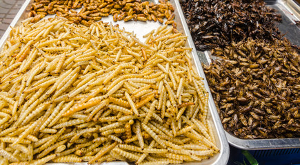 fried insect street food