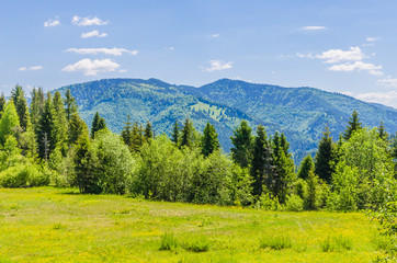 Obraz premium Background of Carpathian mountains landscape in Ukraine