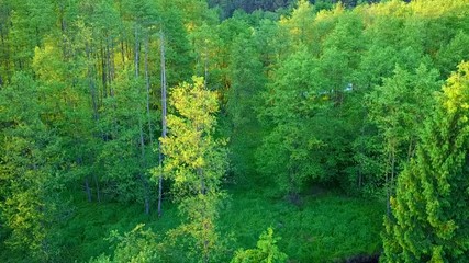 Aerial flight over river valley in beautiful sunset light