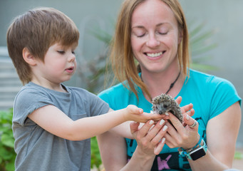 Young woman with son playing with hedgehog baby