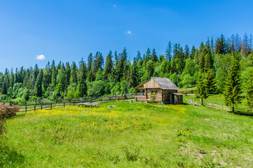 Background of Carpathian mountains landscape in Ukraine