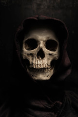 Still life art photography with skull