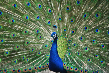 Obraz premium 一点集中