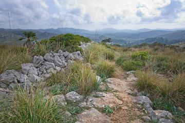 Green spring mountain landscape