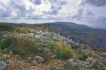 Green spring mountain landscape