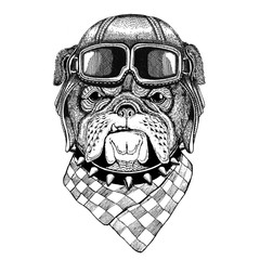 Bulldog wearing leather helmet Aviator, biker, motorcycle Hand drawn illustration for tattoo, emblem, badge, logo, patch