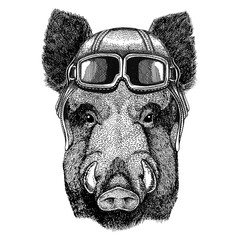Aper, boar, hog, hog, wild boar wearing leather helmet Aviator, biker, motorcycle Hand drawn illustration for tattoo, emblem, badge, logo, patch