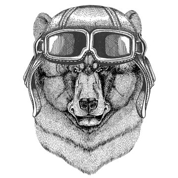 Brown bear Russian bear wearing leather helmet Aviator, biker, motorcycle Hand drawn illustration for tattoo, emblem, badge, logo, patch