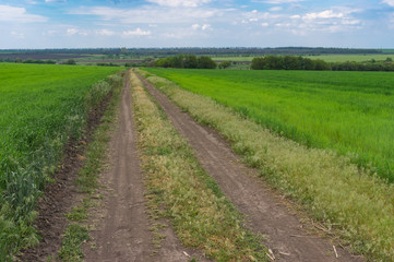 Fototapeta na wymiar Spring landscape with an earth road among agricultural fields near Dnipro city in central Ukraine