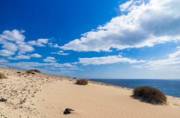 Fototapeta na wymiar große helle, Sanddüne von Jandia auf Fuerteventura