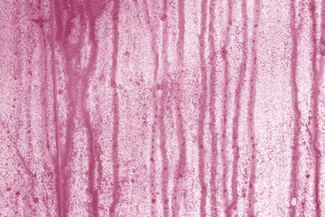 condensation drops on pvc greenhouse.