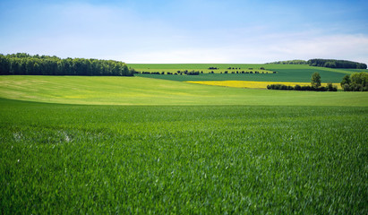 Weite Ebene © rdnzl