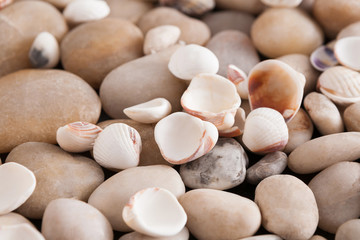 Sea pebbles background, natural seashore stones