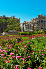Fototapeta na wymiar Beautiful fountain at Plaza Catalunya