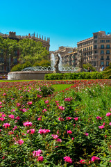 Fototapeta na wymiar Beautiful fountain at Plaza Catalunya