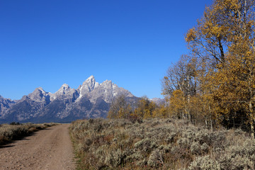 On the Way to a Mountain Range, Grand Teton NP