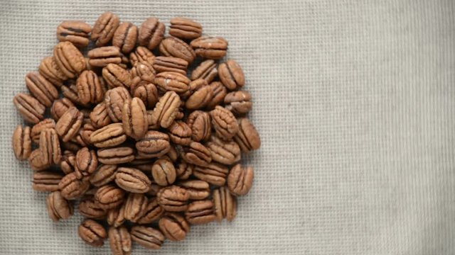The nut pecan rotates on the turntable.