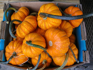 Cucurbita fruits in a box in the bazaar