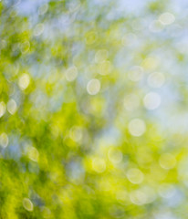 Beautiful Abstract colorful Bokeh blur background