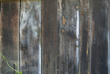 Dark old wooden fence. wood palisade background. planks texture. Black