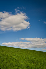 A Lovely Green Hill with deep blue skies  and white clouds .Welcome Summertime!