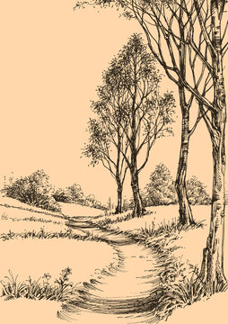 A path in the park sketch wallpaper