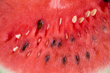 Watermelons are a sweet, popular fruit of summer, usually consumed fresh in slices, diced in mixed fruit salads, or as juice.