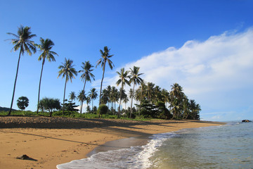 Travel to Island Koh Lanta, Thailand. The view on the sand beach with palms and blue sea.