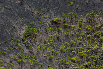 La Palma Vulcano San Antonio Krater