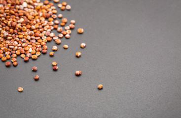 Fototapeta na wymiar red quinoa grain