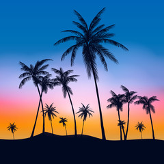 Fototapeta na wymiar Summer Palm Trees Tumblr